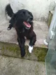 Lilica