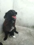 Lilica