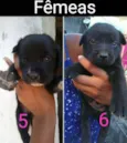 Sem nome 
