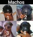 Sem nome 
