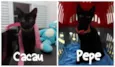 Pepe e Cacau