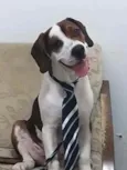 Drake
