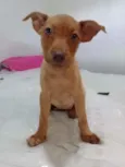 Mel