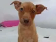Mel