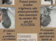 Indefinido 