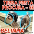 Belinha 