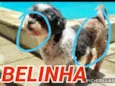 Belinha 