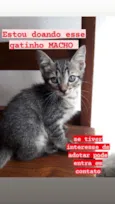Não tem Nome