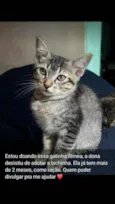 Não tem Nome