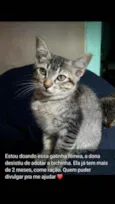 Não tem Nome