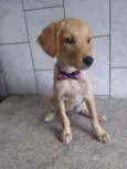 Princesinha