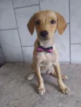 Princesinha
