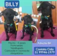 Billy