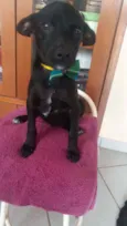 Billy