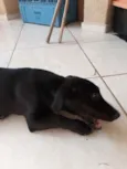 Tobias