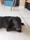 Tobias