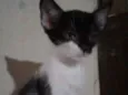 Don