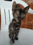 Otis, Eleven