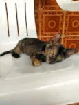Otis, Eleven