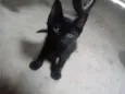 Pelé
