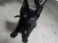 Pelé