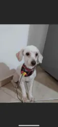 Não tem 