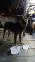 Sem Identificação