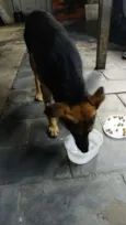 Sem Identificação