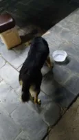 Sem Identificação