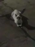 sem nome ainda