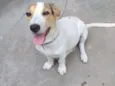 Bia