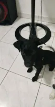 Matilda