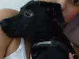 Matilda