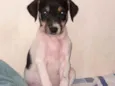 Vitória