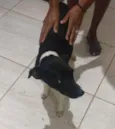 Princesa
