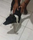 Princesa