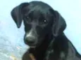 Nina