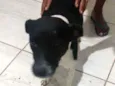 Princesa
