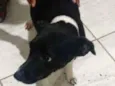 Princesa