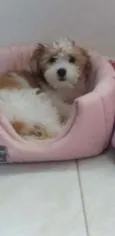 Nina
