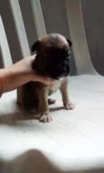 Sem nome
