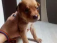 Sem nome