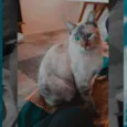 Marie
