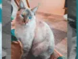 Marie