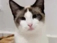 Bianca
