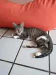 Pérola