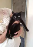 Glórinha