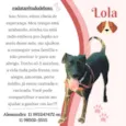 Cachorro raça Canina idade 3 anos nome Lola