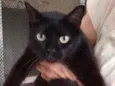 Glórinha