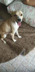 Mel
